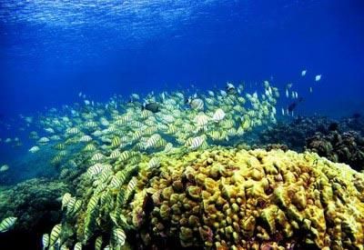 背上行囊，讓心去旅行：全球最吸引人的20個(gè)旅游目的地