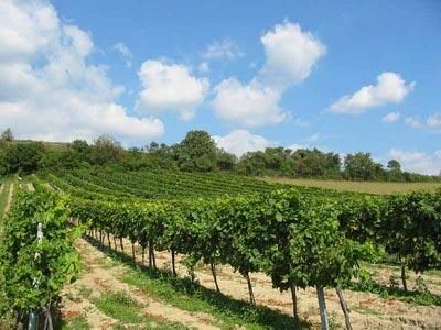 背上行囊，讓心去旅行：全球最吸引人的20個(gè)旅游目的地